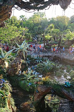 WDW】アバター・フライト・オブ・パッセージのクチコミ・旅行記