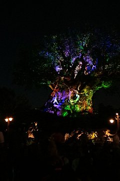 Wdw ツリー オブ ライフ アウェイクンのクチコミ 旅行記一覧 アニマルキングダム フロリダ