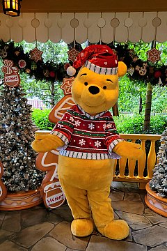 サンタグーフィーとのスペシャルなグリーティング | クリスマス