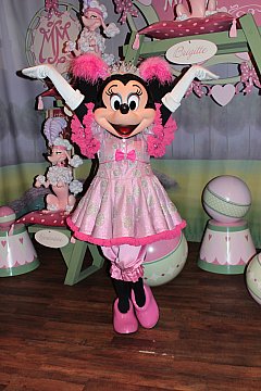 ピートのサーカスへ ミッキーフレンズに会いに行く フロリダ