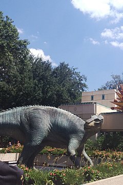 リアルな恐竜が超接近 ジュラシックパークの世界です ダイナソー フロリダ