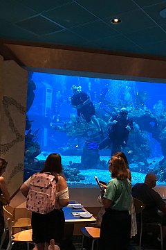 巨大水槽を眺めながら食事ができる海底レストラン フロリダ