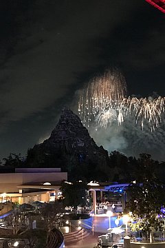 ディズニーランドで壮絶な大晦日の夜を過ごしました