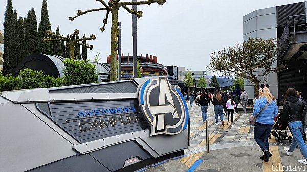 MARVEL - ランド 28bf1fdf8b4ed181c70489d6646cb4