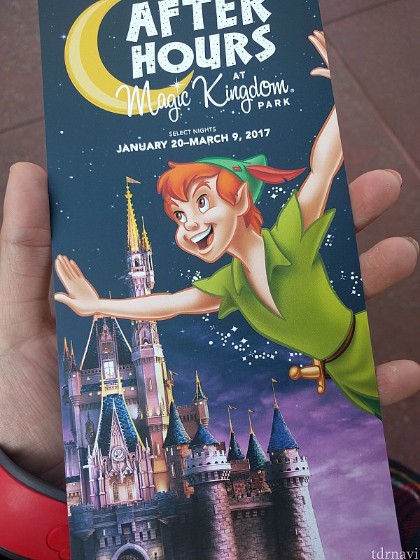 WDW】ディズニー・アフター・アワーズ | マジックキングダム（フロリダ