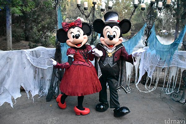 ハロウィーン ディズニーランド アナハイム のクチコミ 感想