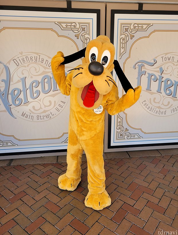 アプリに載っていないミッキー&ミニー&プルートの豪華なグリーティング