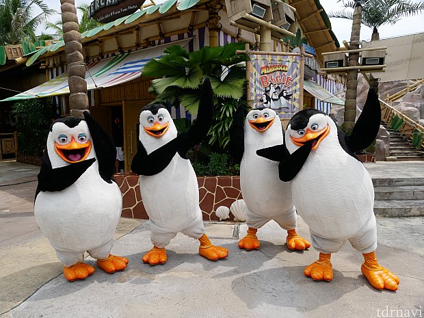 お店の横のステージではペンギンズとアレックス、グロリア、キングジュリアンがショー&グリーティングをしている時があります!