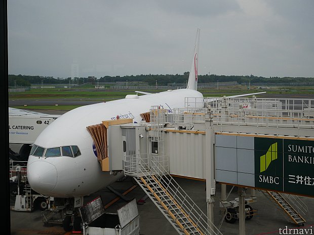 行きは17:55出発のJAL711便に乗りました😌
成田第2ターミナル→チャンギ国際空港ターミナル1です。
搭乗開始は20分ほど遅れました。