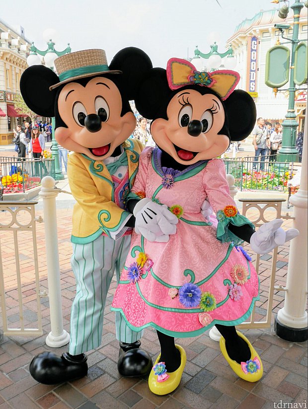これは3月に撮影したものですが、ミッキーとミニーは今もこの衣装でした!
かわいいんだけど、かわいいんだけども………アロハ姿見たかったー😅