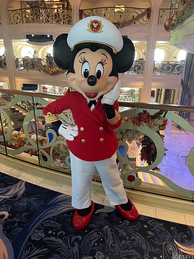 ディズニークルーズ　ドナルド　フィギュア サイン入り ディズニークルーズ ドナルド フィギュア サイン入り ディズニー