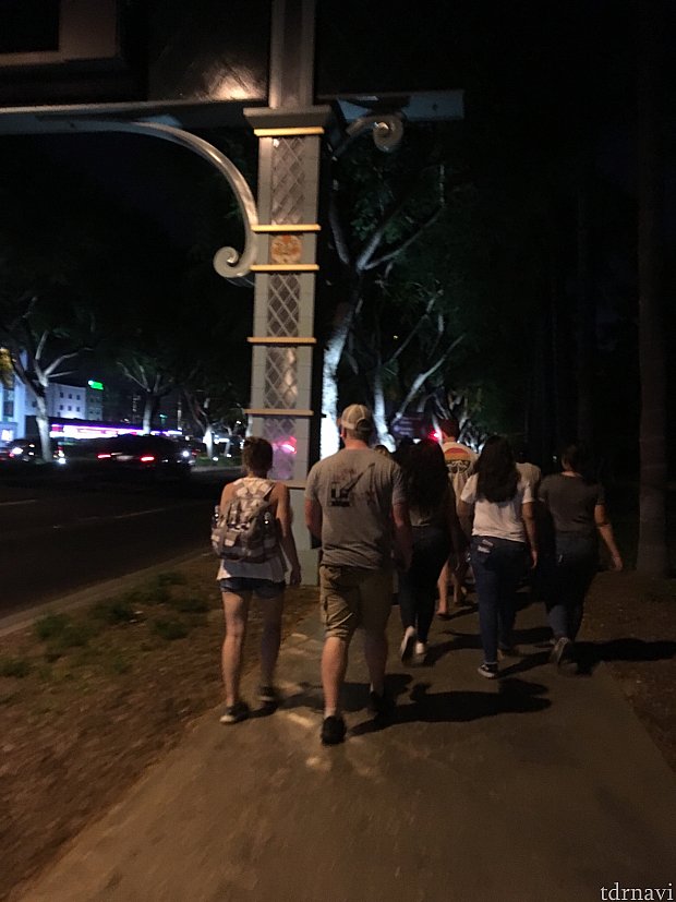 ディズニーランドへの道(夜)