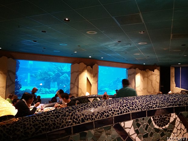 1d2b1e4b9f30e9288a5c813895f904