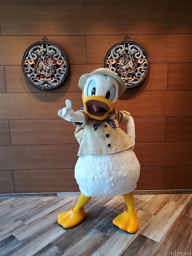 探検家衣装のドナルドとのキャラダイ | ドラゴン・ウィンド（香港）