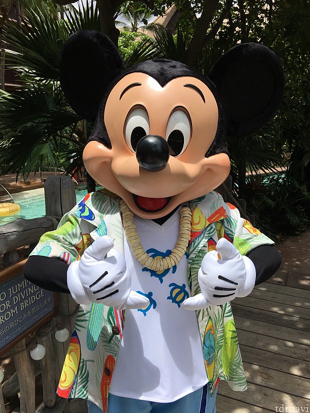 17日に遭遇したお散歩中ミッキー。