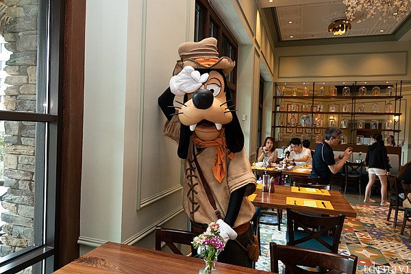 またまた、やってきました。