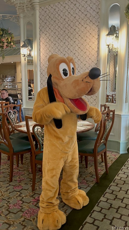 朝は特に時間に余裕をもって | エンチャンテッド・ガーデン