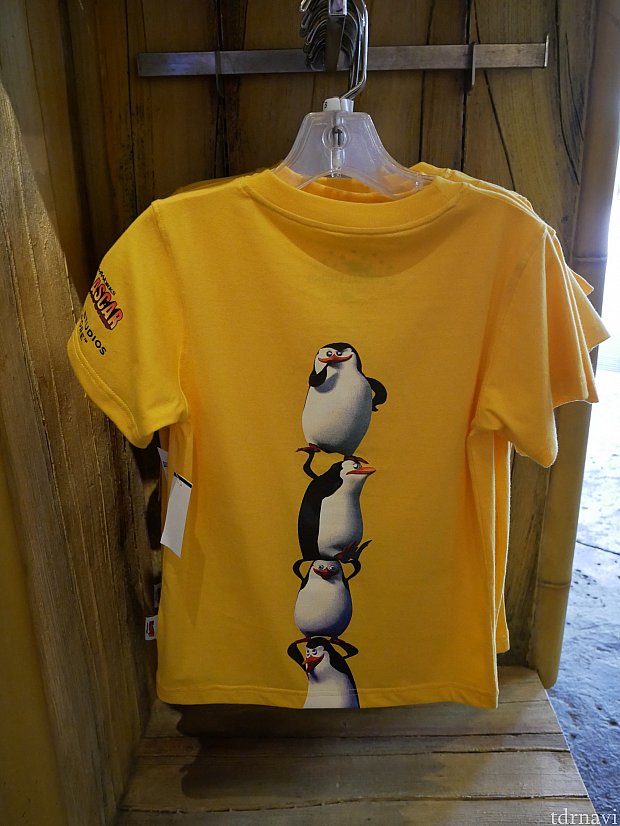 裏にはペンギンズが!