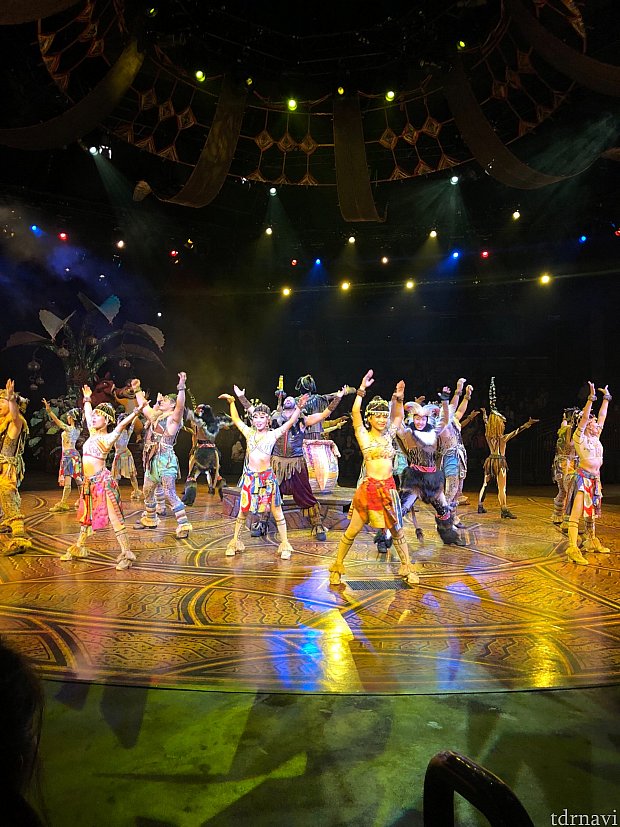 一番大好きで何度見ただろうか… | フェスティバル・オブ・ザ・ライオン