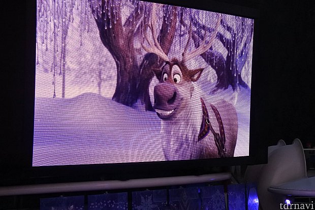 スヴェンは映像のみで登場でした。