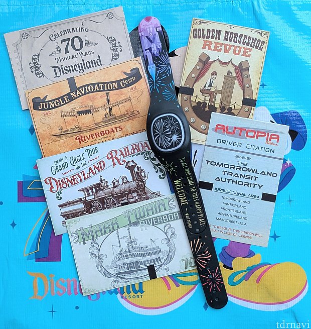 70周年限定アクティビティも！】マジックバンド+を初めて利用