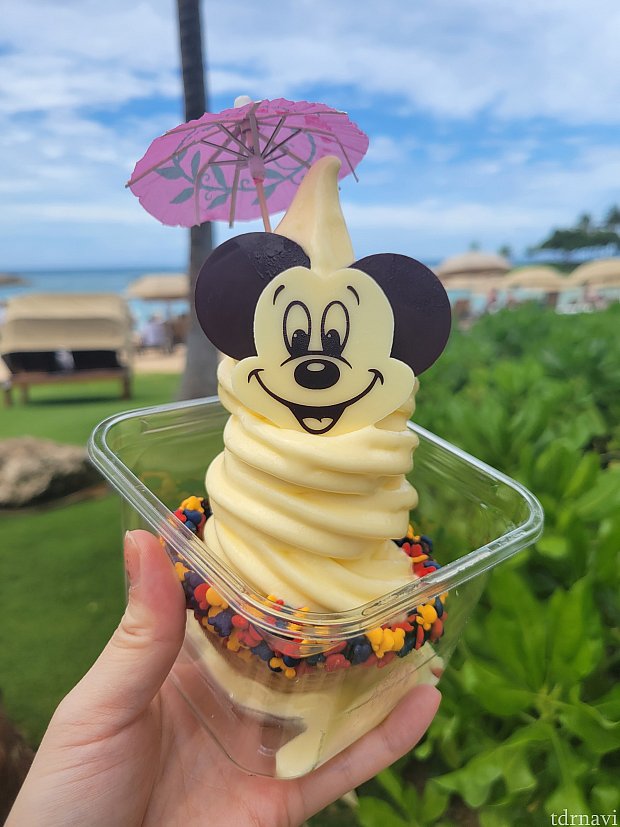 お値段は約1,200円！高いけどハワイ&アウラニ気分を満喫できるミッキー