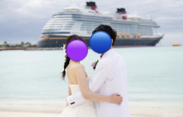 レア　ディズニークルーズライン　枕　 クッション　結婚式　クルーズウェディング レア ディズニークルーズライン 枕 クッション 結婚式 クルーズ