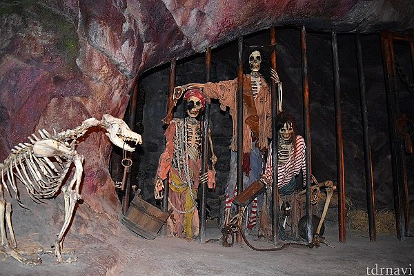 カリブの海賊 スケルトンスタチュー カリブの海賊 スケルトン