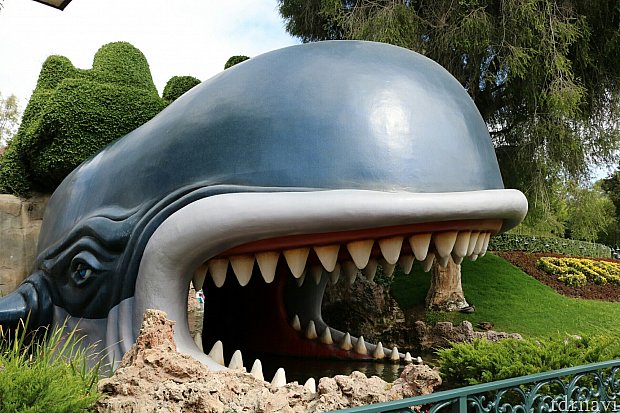 3b3e66934097fceeae46e212c963b6