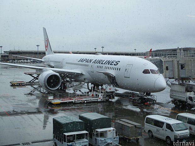 おすすめ 日本航空 Jal アメリカン航空 で大阪からオーランドまで利用