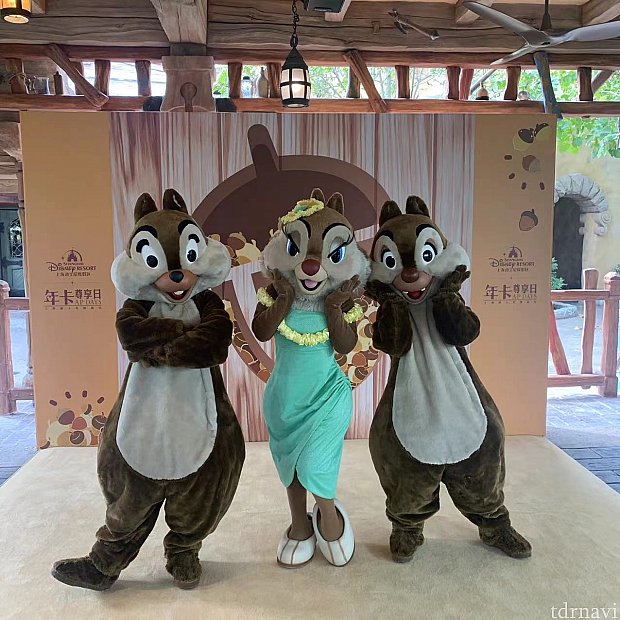 上海でクラリス嬢に会う方法 キャラクター グリーティング