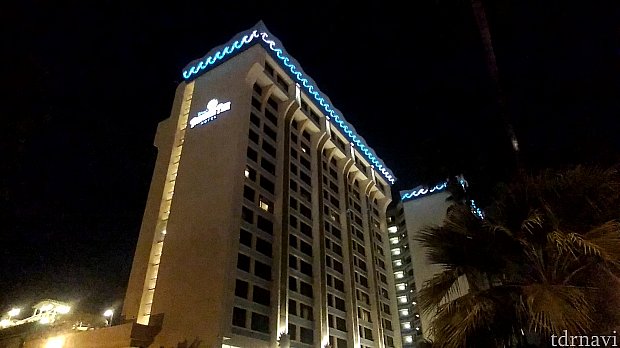 夜のパラダイスピア