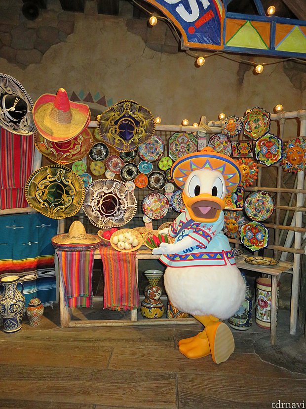 ドナルドに確実に会える、ドナルド好きには最高のグリ施設