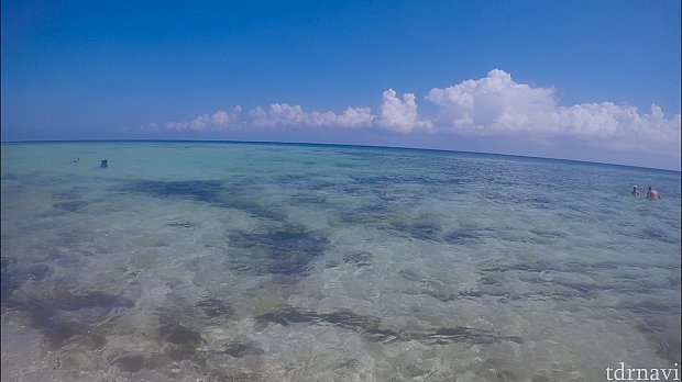こんな感じの透明度で美しいカリブ海がどこまでも続いています。