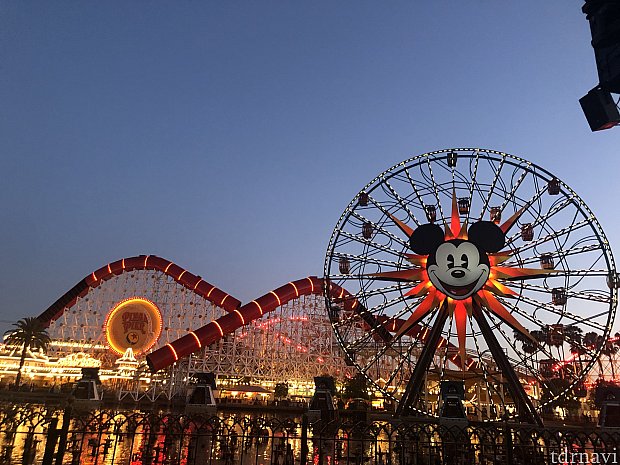 ついに再開！ディズニーを感じられて最高！でも色々と