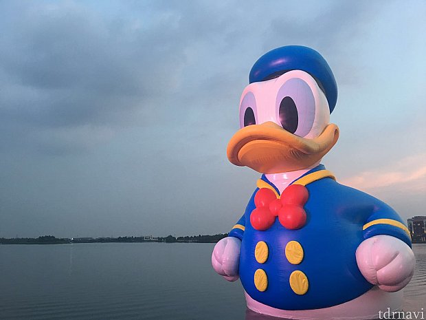 9月に入ってもドナルドはまだ健在でした!