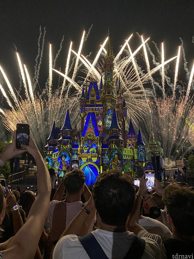 超感動！マジックキングダムの見逃せないナイトショー”Happily Ever