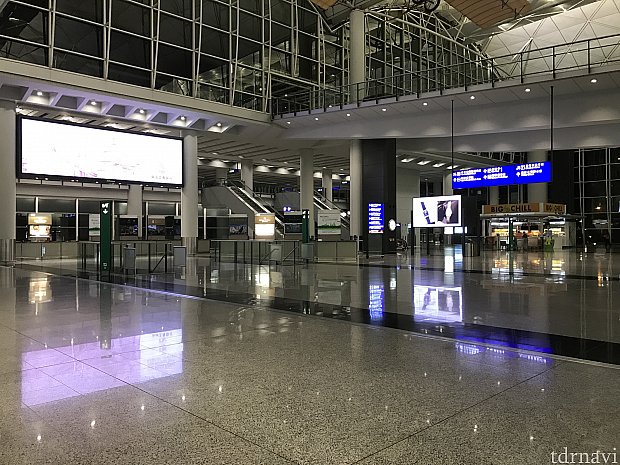 登録が済んでいれば、ものの数分で到着口まで出られます。
(預け入れ荷物がある方は忘れないように😅)