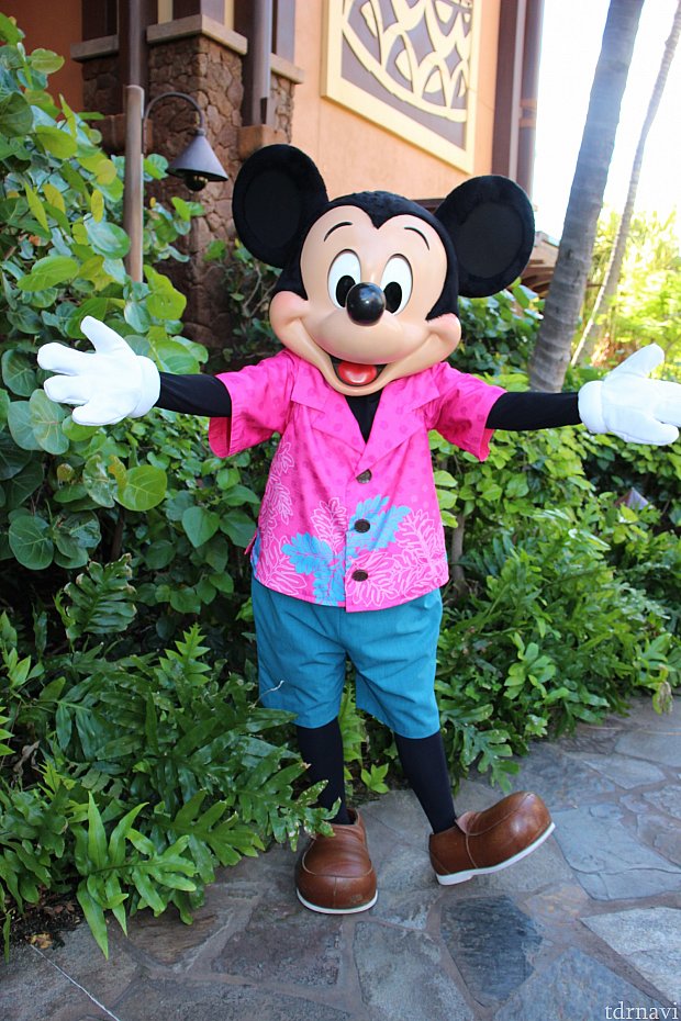 ディズニー ミッキーマウス ブランケット マルチカバー ラグ 142x135