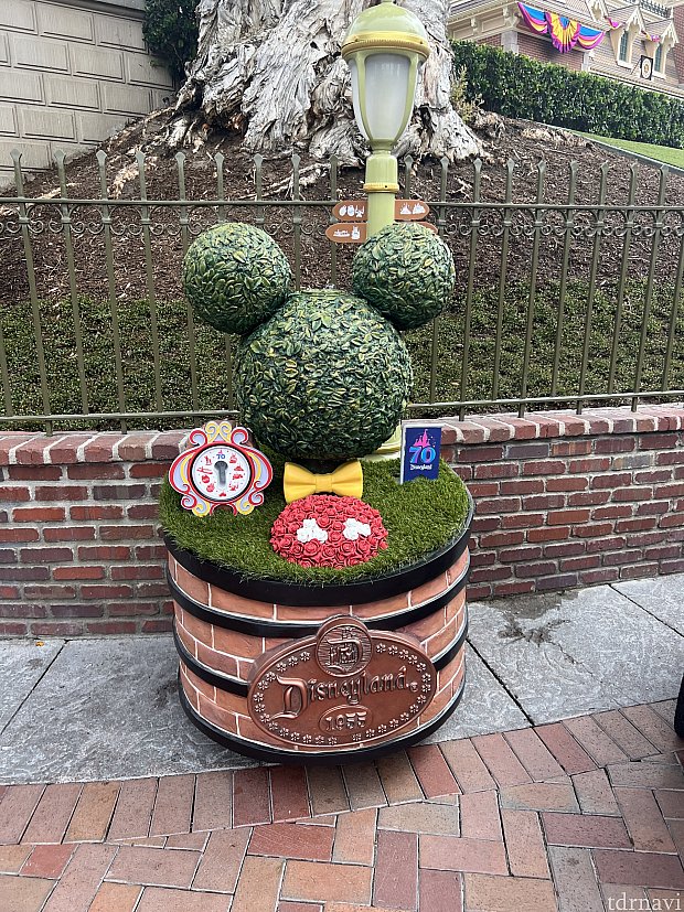 パークを回ってピンをゲットするKey to Disneyland | グッズ・お