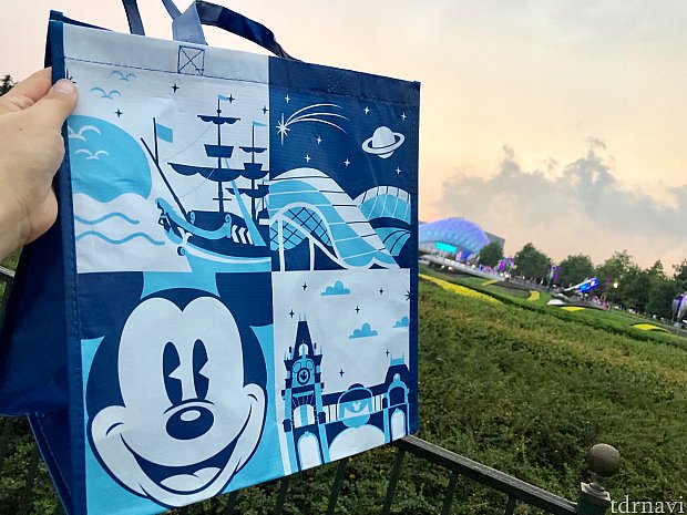 Disney - 上海ディズニーピントレバッグ収納 ピントレ】公式ピントレバッグ（大）を購入しました
