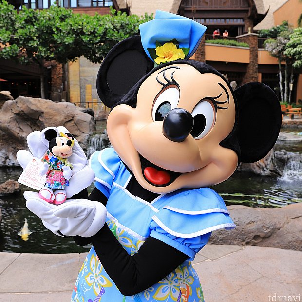 日本から持ってきたお正月ぬいばとミニーちゃん。ぬいばはプレゼントしました。