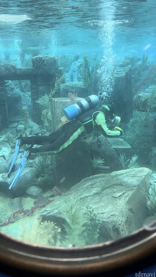 863da1ae66cba7525c4a808eeb78c9