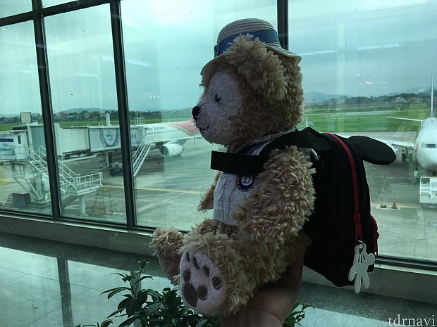 陶磁器で有名な景徳鎮経由の飛行機でした。一度降機し、外を見るとのどかな風景が…!
