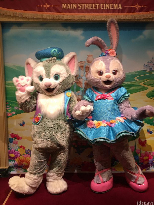 ジェラもステラも終日変わりません
