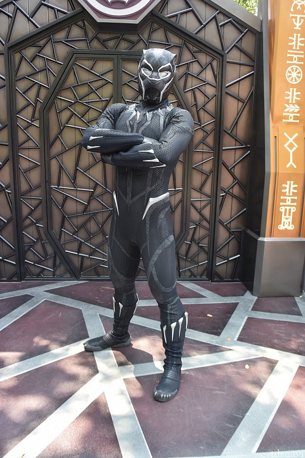 香港初登場✨日本語も話してくれました😆ブラックパンサーとの