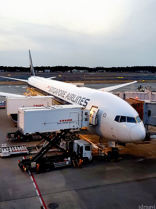 シンガポール航空利用のアナハイム4泊6日、ツアーの長所と短所を上手に