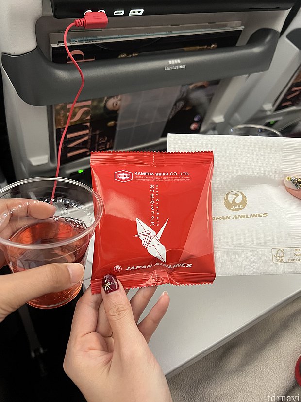 WDW個人手配】復路は念願のJALで！機内食なども紹介