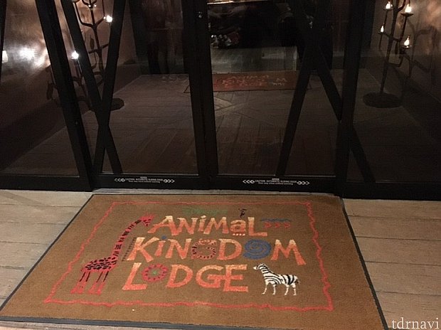 動物の見えるホテルに宿泊 ディズニー アニマルキングダム ロッジ フロリダ