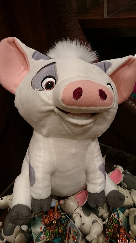 モアナグッズ🌊（香港）